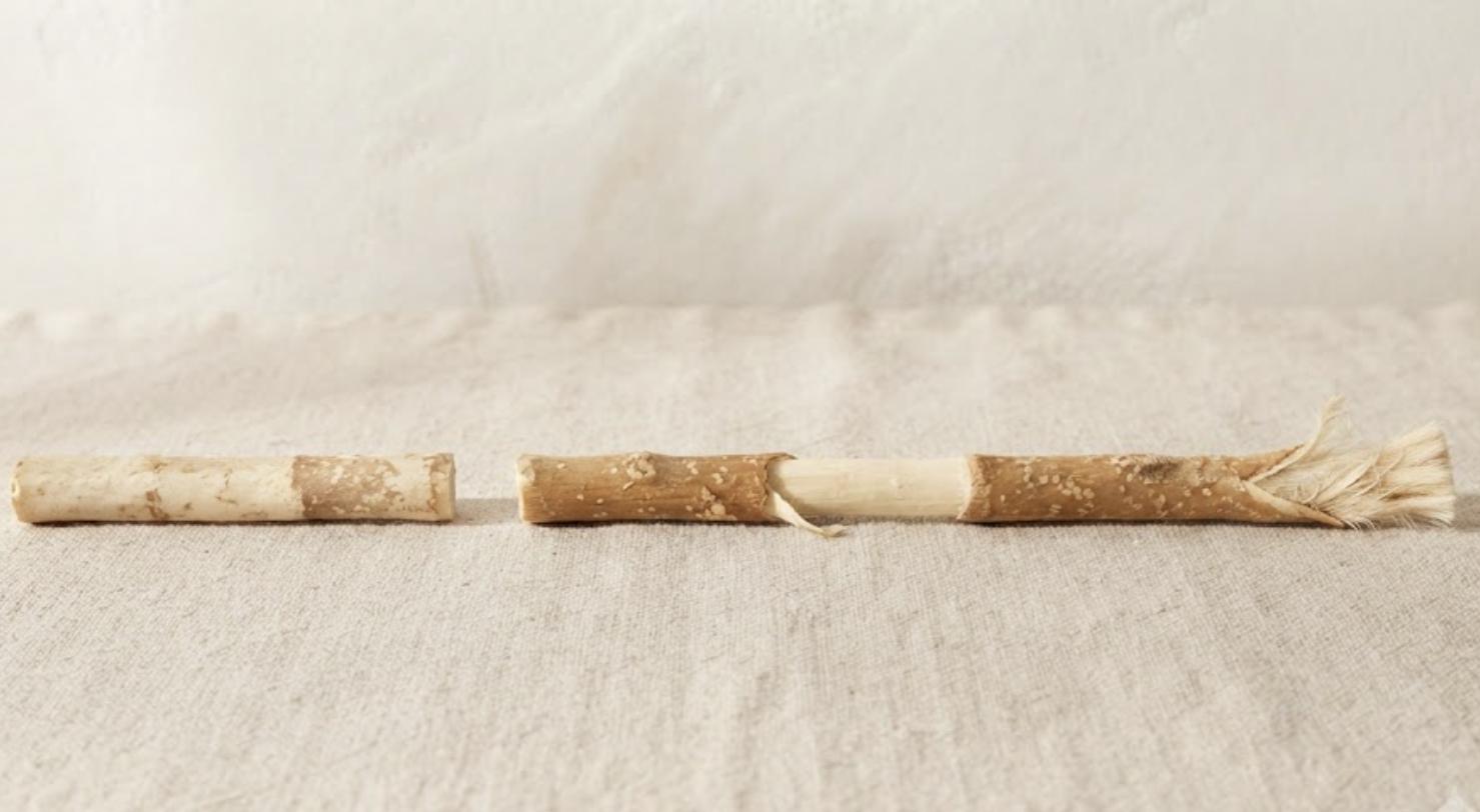 Three stages of one miswak stick: intact bark, a peeled tip, and a tip chewed into soft fibres